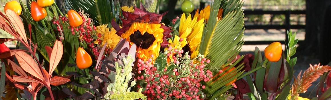 Cahoots Catering Atascadero Catering